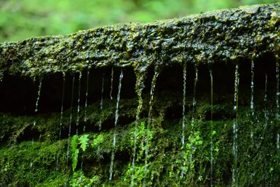 DSC_2760 (Large).JPG